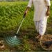 Government Unveils ‘Kisan Mitra Chhadi’ To Alert Farmers About Snakes And Scorpions