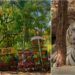 White Tigress and Rare New Arrivals Set to Transform Patna Zoo into a Must-Visit Hotspot
