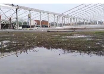 Patna Authorities Rush to Clear Waterlogging at Gandhi Maidan Ahead of Swearing-in Event