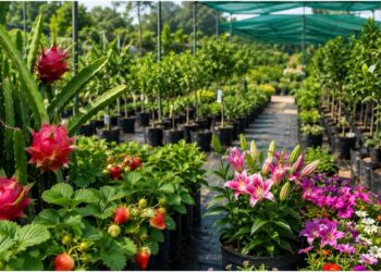 Bihar Government Plans To Establish Progeny Garden Nurseries In Every District To Boost Horticulture