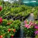Bihar Government Plans To Establish Progeny Garden Nurseries In Every District To Boost Horticulture