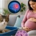 Hidden Danger Inside Pet Homes as Doctors Warn Cat Waste May Harm Pregnant Women and Babies