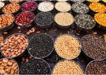 Which Lentil Contains The Most Protein? Experts Compare Urad, Moong, Chana, Masoor And Kulthi