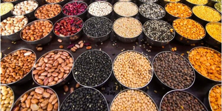 Which Lentil Contains The Most Protein? Experts Compare Urad, Moong, Chana, Masoor And Kulthi