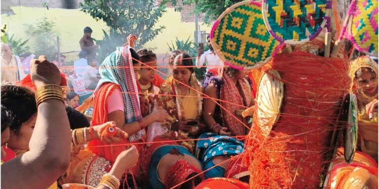 Under the Banyan Tree, an Ancient Fast Lives On as Women Across Bihar Mark Vat Savitri