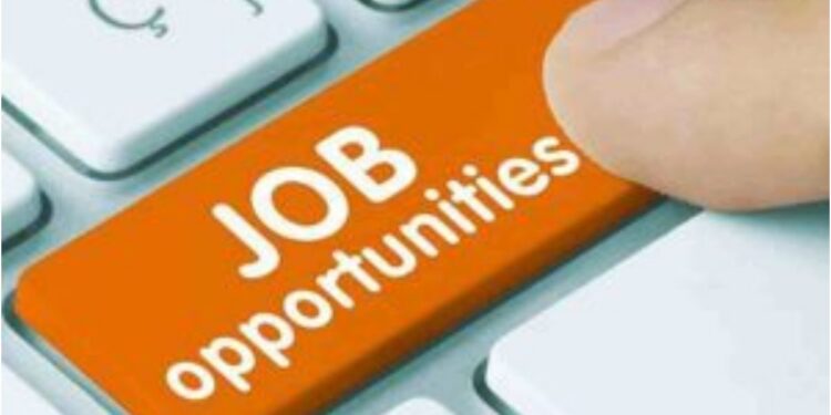 Bihar Government Reports 63,115 Job Opportunities, 4,600 Placements and Modernisation of 149 ITIs in Major Skill Development Push