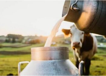 Record Surge in Bihar Milk Production as Daily Output Reaches 26 Lakh Litres, Strengthening Dairy Sector