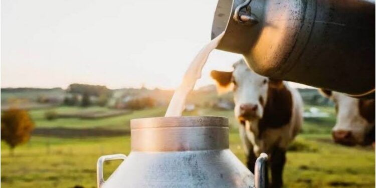 Record Surge in Bihar Milk Production as Daily Output Reaches 26 Lakh Litres, Strengthening Dairy Sector
