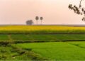 Bihar Revises Minimum Land Value Rates, Raises Compensation for Farmers and Aligns Property Prices with Market Trends
