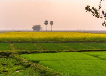 Bihar Revises Minimum Land Value Rates, Raises Compensation for Farmers and Aligns Property Prices with Market Trends