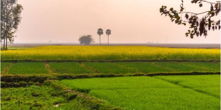 Bihar Revises Minimum Land Value Rates, Raises Compensation for Farmers and Aligns Property Prices with Market Trends