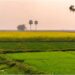 Bihar Revises Minimum Land Value Rates, Raises Compensation for Farmers and Aligns Property Prices with Market Trends