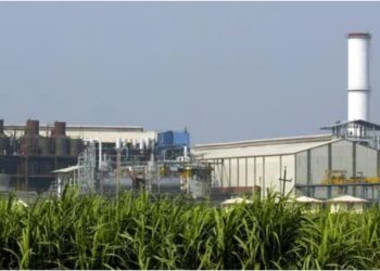 Bihar Government to Offer Land at Rs 1 Token Price and Rs 100 Crore Support for New Sugar Mills Under Incentive Policy