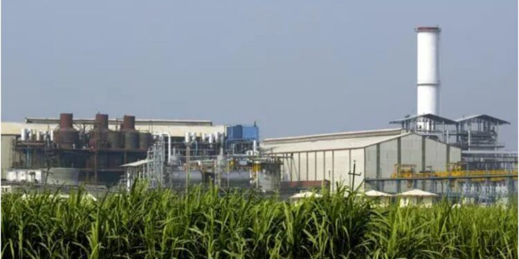Bihar Government to Offer Land at Rs 1 Token Price and Rs 100 Crore Support for New Sugar Mills Under Incentive Policy