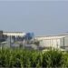 Bihar Government to Offer Land at Rs 1 Token Price and Rs 100 Crore Support for New Sugar Mills Under Incentive Policy