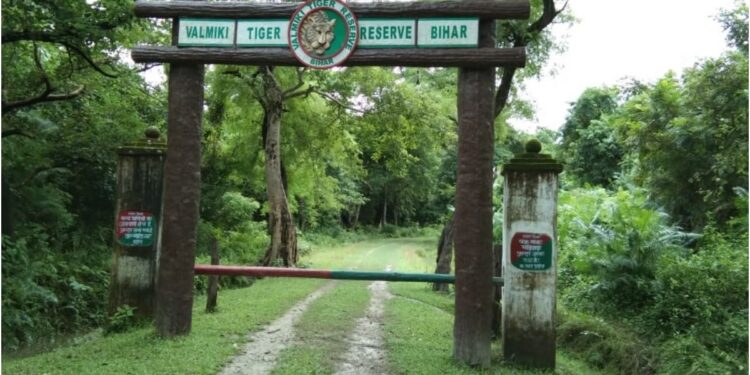 Jungle Safari at Valmiki Tiger Reserve to Close for Three Months From June 29, Last Chance for Wildlife Sightings