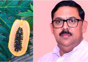 BRABU Vice-Chancellor Leads Study Developing Papaya Leaf-Enriched Jaggery With 22 Bioactive Compounds