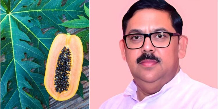 BRABU Vice-Chancellor Leads Study Developing Papaya Leaf-Enriched Jaggery With 22 Bioactive Compounds