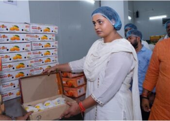 Jardalu Mangoes, Favoured by PM Modi, Reach Rashtrapati Bhavan as Minister Shreyasi Singh Oversees Packaging in Bihar