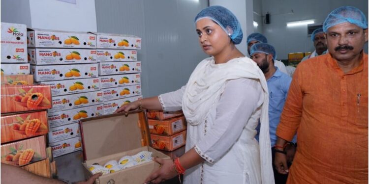 Jardalu Mangoes, Favoured by PM Modi, Reach Rashtrapati Bhavan as Minister Shreyasi Singh Oversees Packaging in Bihar