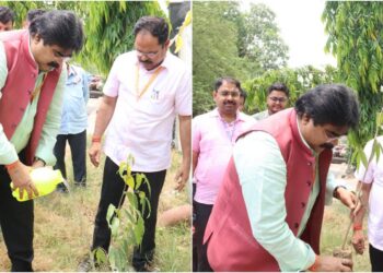 BSFC Organises Tree Plantation Drive at Headquarters to Mark World Environment Day