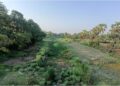 Chandrabhaga River in Begusarai Faces Existential Crisis as Encroachment and Neglect Take a Toll