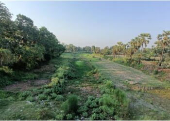 Chandrabhaga River in Begusarai Faces Existential Crisis as Encroachment and Neglect Take a Toll