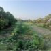 Chandrabhaga River in Begusarai Faces Existential Crisis as Encroachment and Neglect Take a Toll