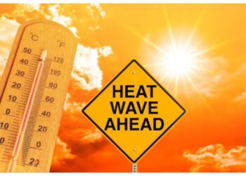Bihar Heatwave Alert: Temperature May Touch 43°C, These 6 Districts Face Extreme Heat