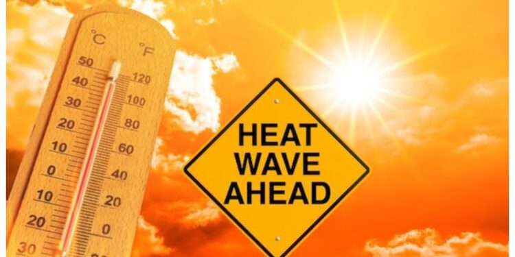 Bihar Heatwave Alert: Temperature May Touch 43°C, These 6 Districts Face Extreme Heat