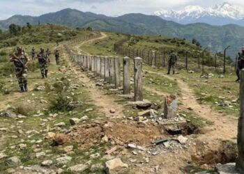 India-Nepal Border Under Watch: Bihar Govt Finds 1,155 Pillars Missing, 317 Damaged
