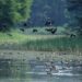 7D Theatre, Holographic Books And Exotic Birds: Patna's Rajdhani Reservoir Set For A High-Tech Transformation