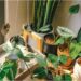 Monsoon Gardening: Bring Home Greenery and Fresh Air With Plants Starting at Just Rs 10 in Patna