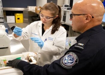 OPINION: Dismantling the Fentanyl Supply Chain