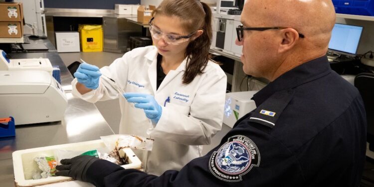 OPINION: Dismantling the Fentanyl Supply Chain