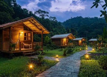 Rajgir to Get Bihar’s First Forest Eco-Resort, Inspired by Amazon-Style Jungle Cottages