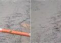 Road Caves In Near Rajendra Nagar Terminal in Patna; Traffic Diverted, Commuters Advised to Use Alternative Routes