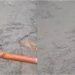 Road Caves In Near Rajendra Nagar Terminal in Patna; Traffic Diverted, Commuters Advised to Use Alternative Routes