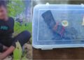 Minor Arrested in Bihta for Posting Weapon Videos on Social Media; Country-Made Pistol Seized