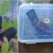 Minor Arrested in Bihta for Posting Weapon Videos on Social Media; Country-Made Pistol Seized