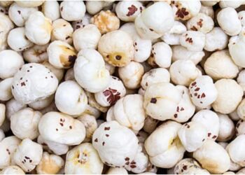 Bihar's Makhana Reaches Canadian Market as India Exports 7 Tonnes, Boosting Global Recognition for the State's Signature Crop