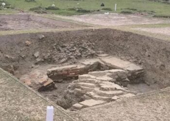 Major Archaeological Discovery In Bihar: ASI Finds Ancient Structures, Coins And Terracotta Artefacts At Balirajgarh, Excavation To Continue For 10 Years