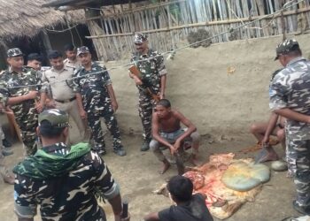 SSB, Police Raid Alleged Illegal Slaughterhouse In Bihar’s Madhubani, 10 Cows, 4 Calves And Suspected Beef Seized