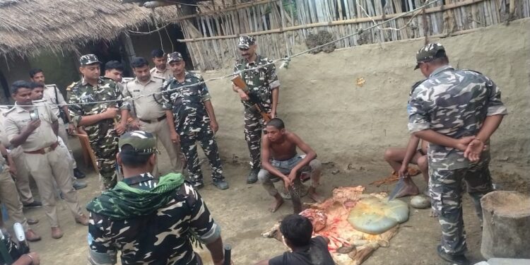 SSB, Police Raid Alleged Illegal Slaughterhouse In Bihar’s Madhubani, 10 Cows, 4 Calves And Suspected Beef Seized