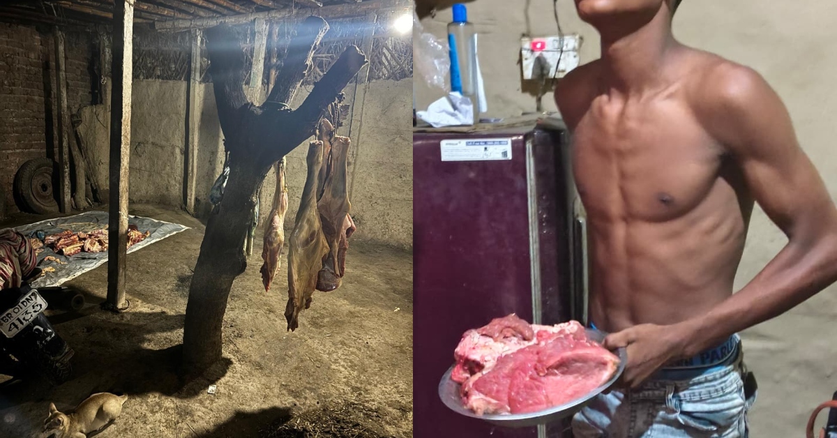 SSB, Police Raid Alleged Illegal Slaughterhouse In Bihar’s Madhubani, 10 Cows, 4 Calves And Suspected Beef Seized