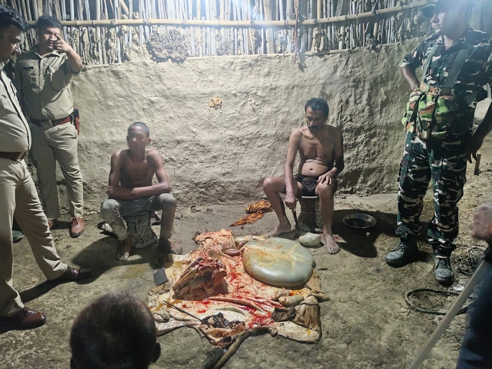 SSB, Police Raid Alleged Illegal Slaughterhouse In Bihar’s Madhubani, 10 Cows, 4 Calves And Suspected Beef Seized