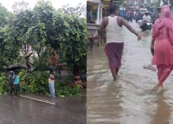 Explained: Why Is Bihar Witnessing Heavy Rain And Thunderstorms Today And What Is Forecast?