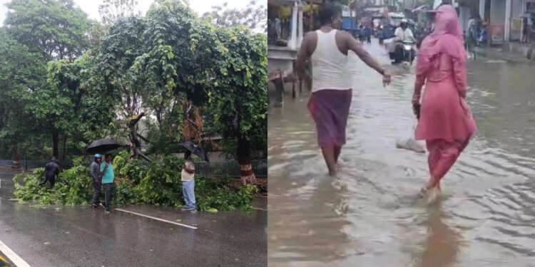 Explained: Why Is Bihar Witnessing Heavy Rain And Thunderstorms Today And What Is Forecast?