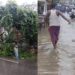 Explained: Why Is Bihar Witnessing Heavy Rain And Thunderstorms Today And What Is Forecast?
