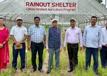 Climate-Resilient Rice, Smarter Farming: ICAR Official Reviews Research Driving Agriculture In Eastern India